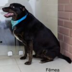 d0414d34-a4f0-4144-86bc-38a5356ef6df-150x150-1