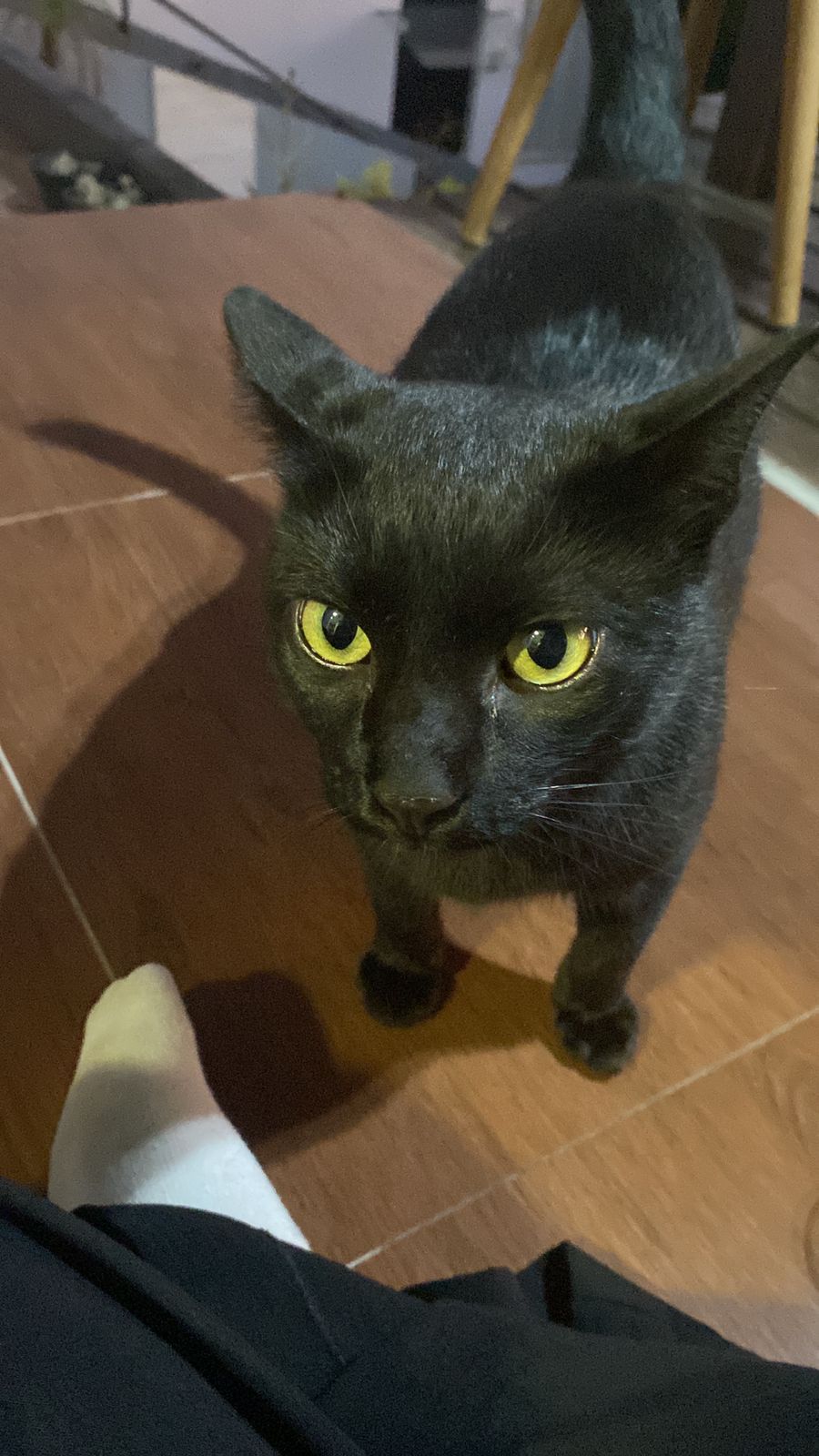 WhatsApp-Image-2025-08-07-at-13.43.36-1