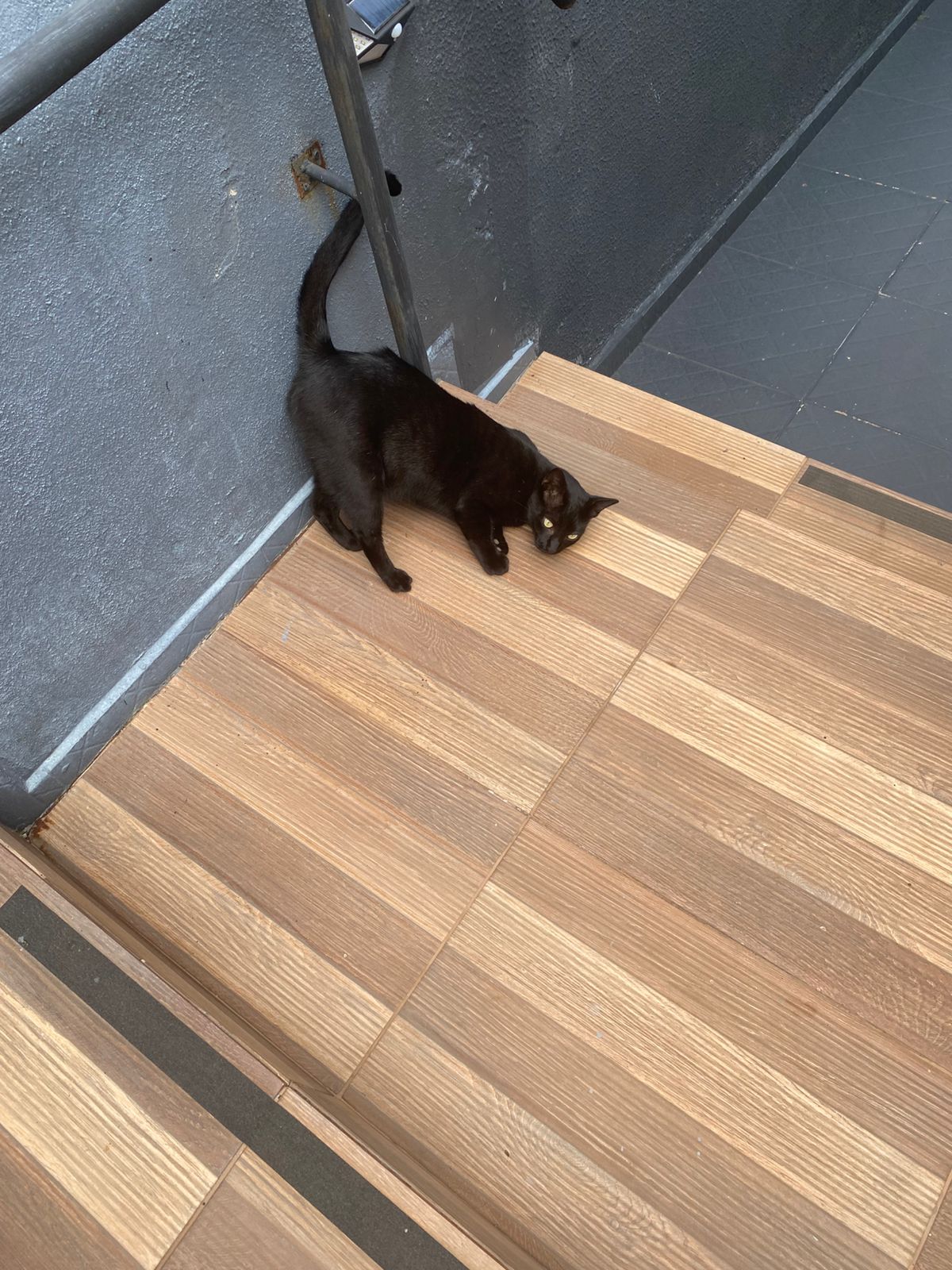 WhatsApp-Image-2025-08-07-at-13.43.36-3