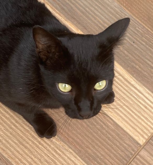 WhatsApp-Image-2025-08-07-at-13.43.36