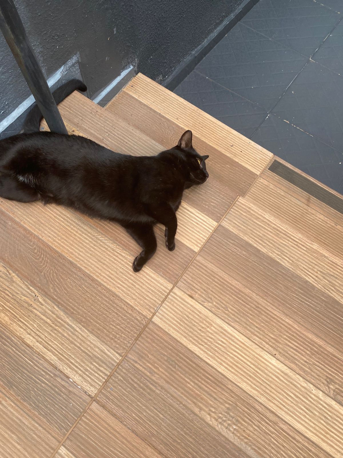 WhatsApp-Image-2025-08-07-at-13.43.37-1