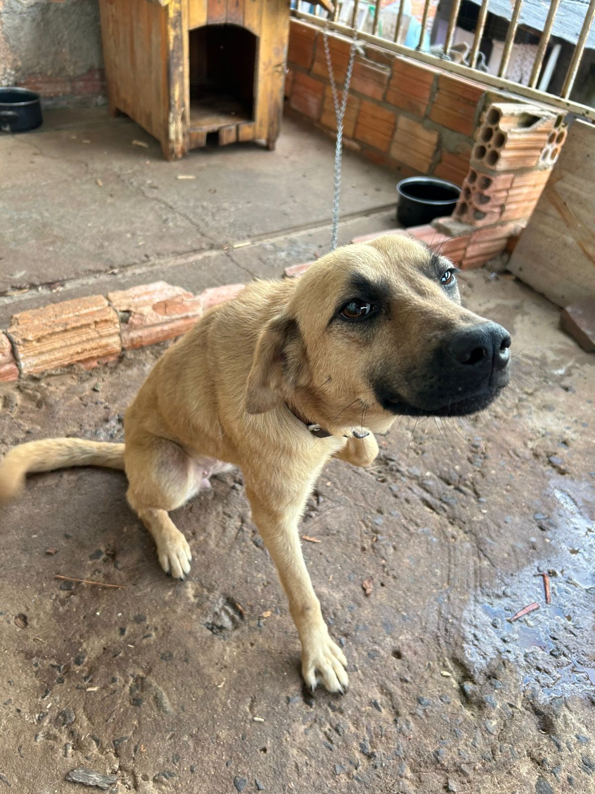 WhatsApp-Image-2025-07-16-at-10.23.39-1