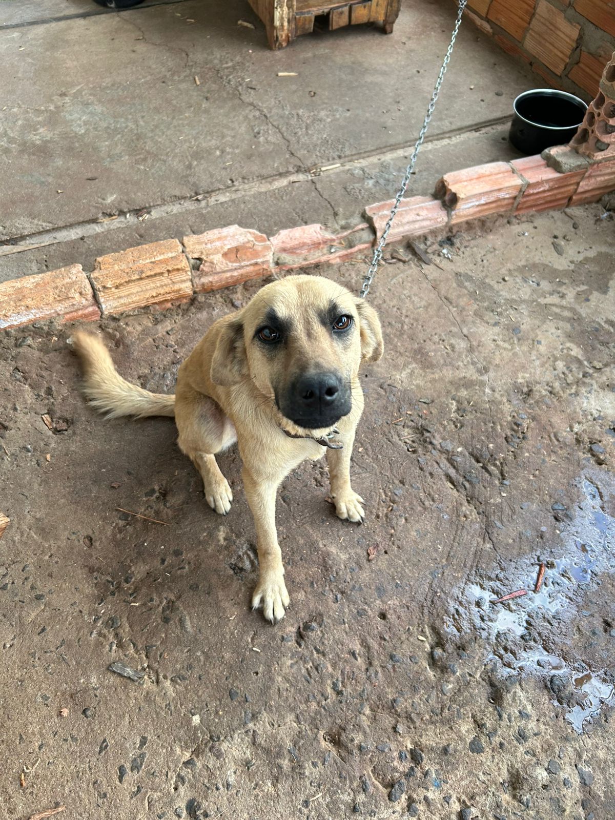 WhatsApp-Image-2025-07-16-at-10.23.39