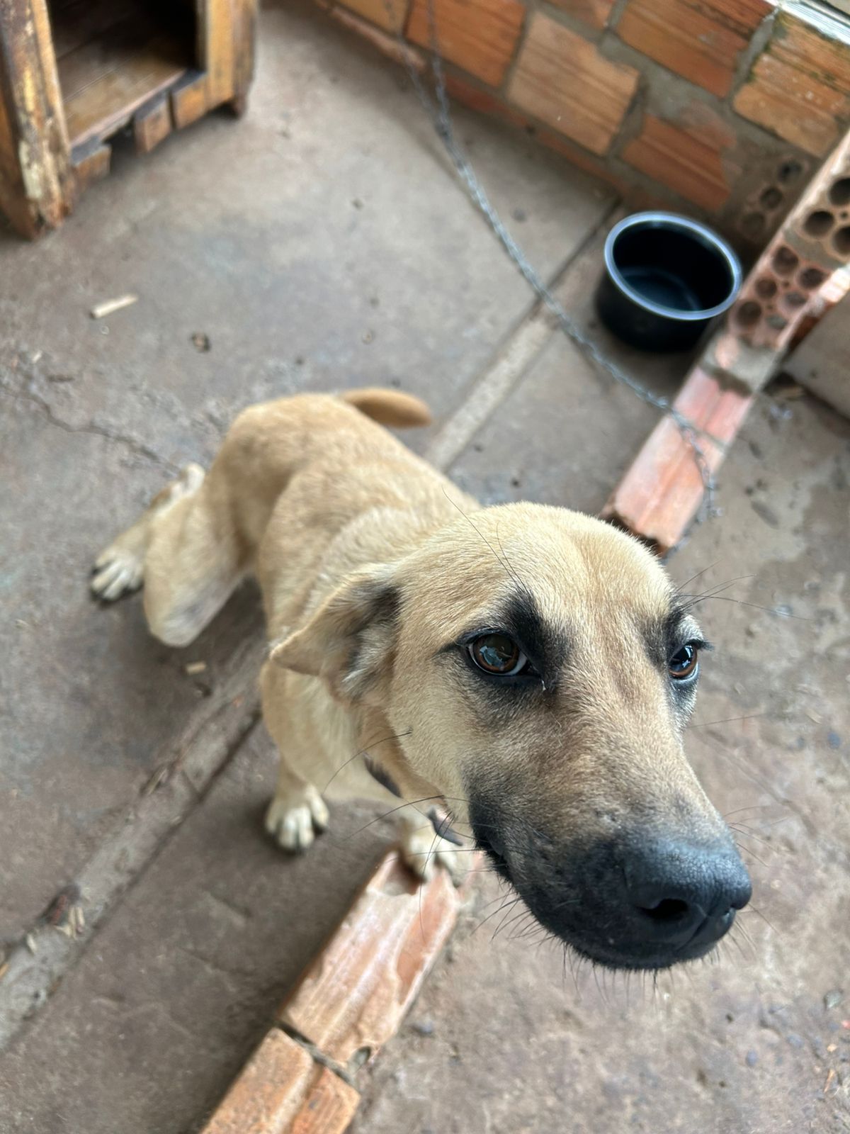 WhatsApp-Image-2025-07-16-at-10.23.40-1