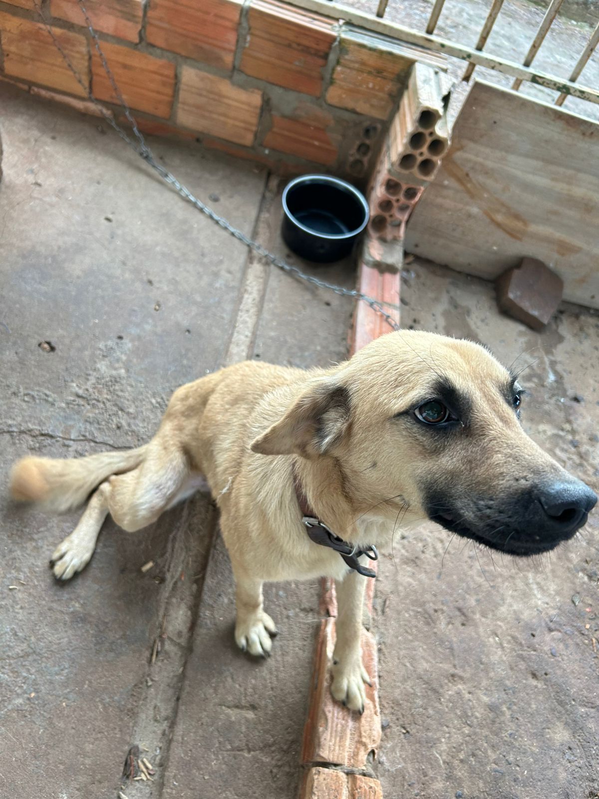 WhatsApp-Image-2025-07-16-at-10.23.40